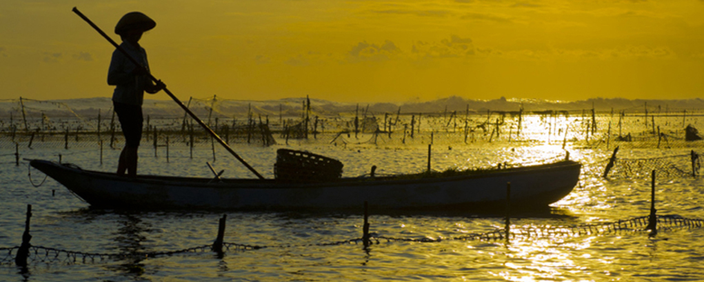 Sustainable Ocean Farming